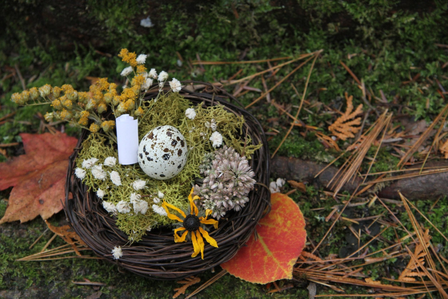 Nature Inspired Egg Reveals - The Flannel Couch