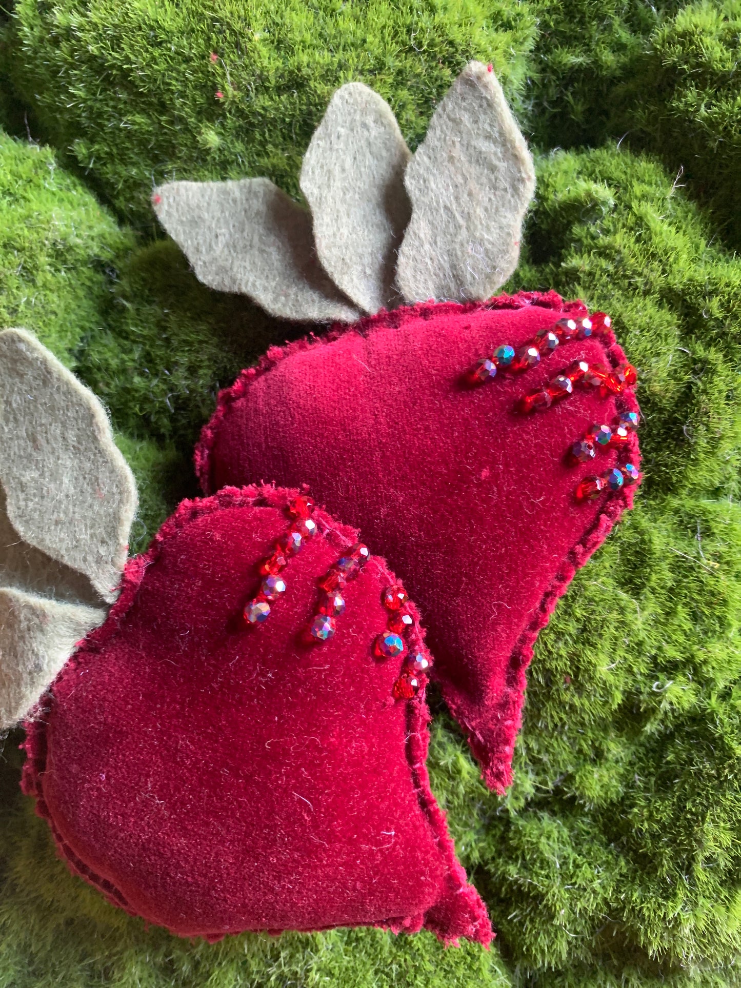 Beets Velvet Jewelled