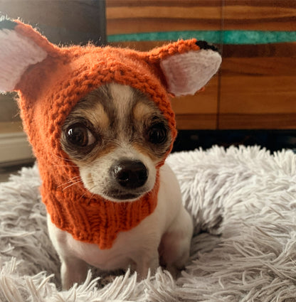 Fancy Crocheted Pet Snood #jimmythefox