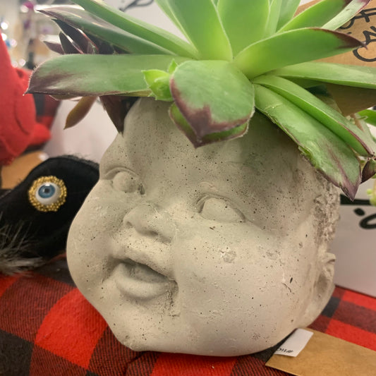 Concrete Head Planter w/ Plant