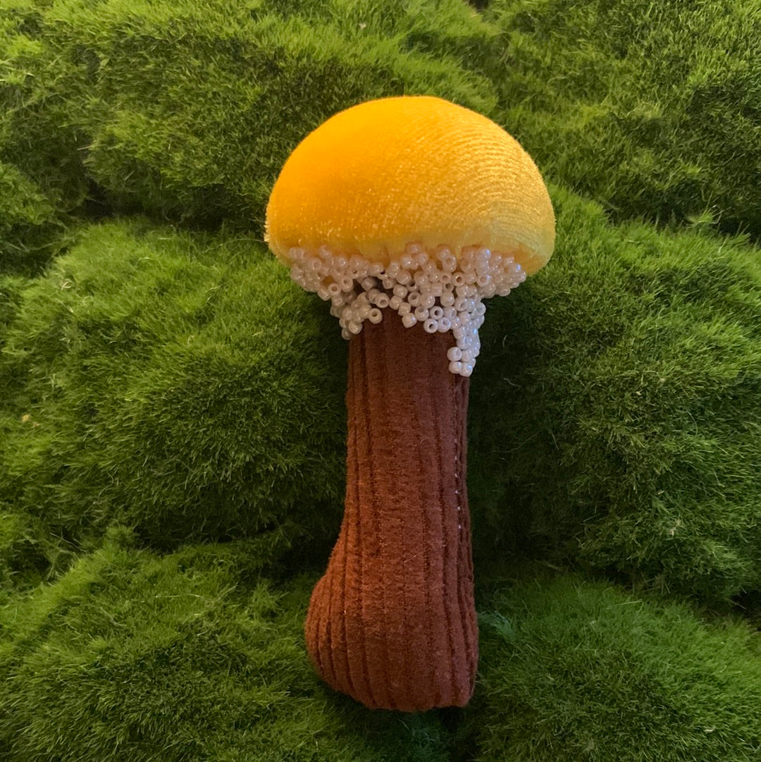 mini Mushrooms