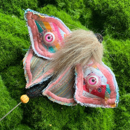 Textile Moths/ Plant Spike