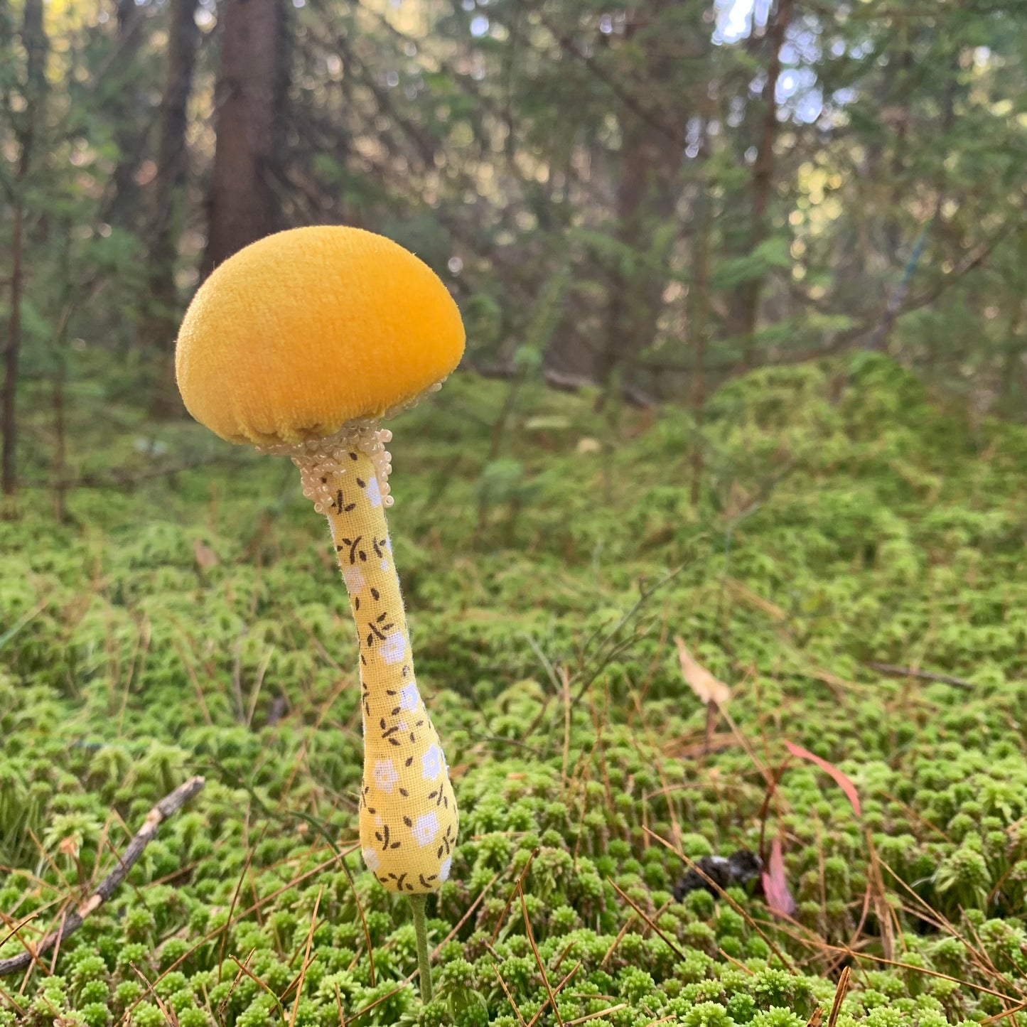 Mushroom 🍄 Plant Spikes