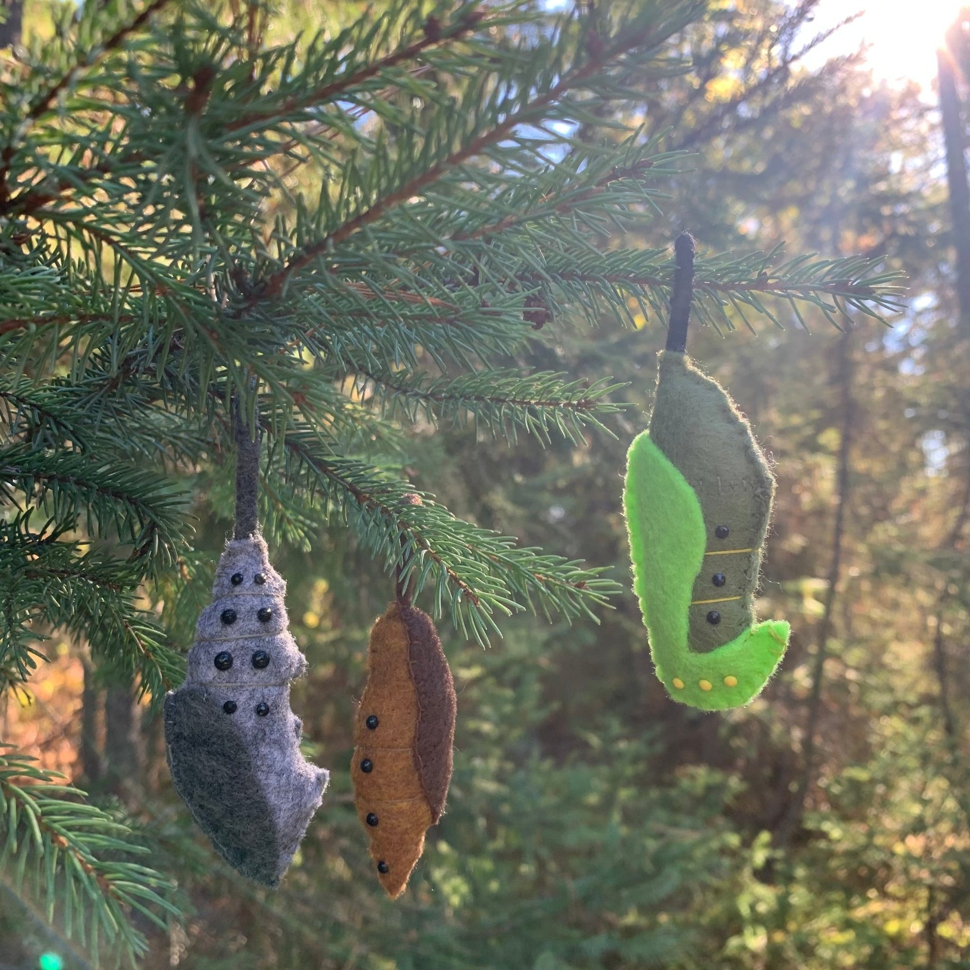 Chrysalis Handmade Felt Trio - The Flannel Couch